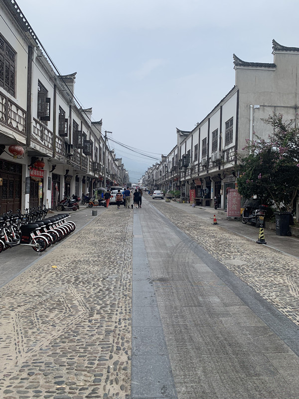 新澳门2025免费原料网