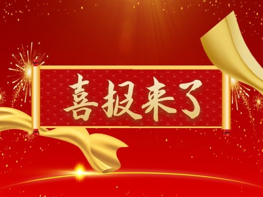 新澳门2025免费原料网