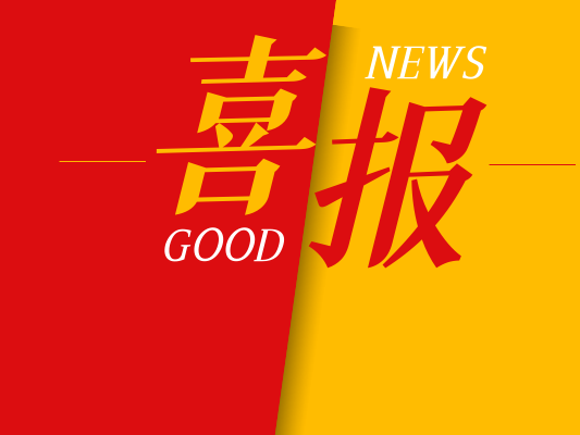 新澳门2025免费原料网