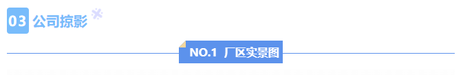 新澳门2025免费原料网