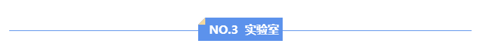 新澳门2025免费原料网