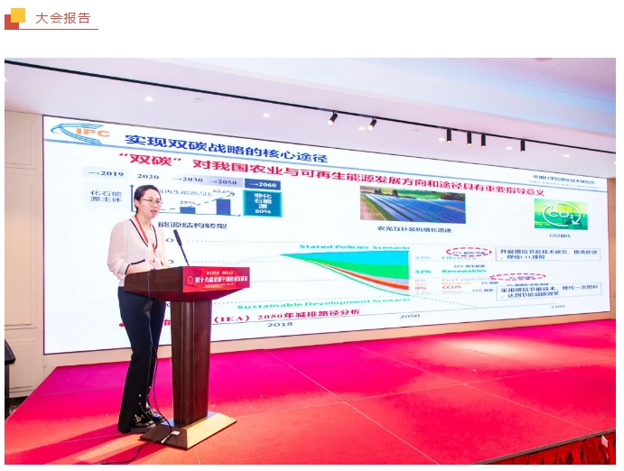 新澳门2025免费原料网