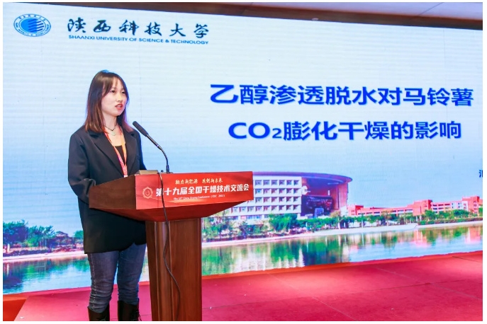 新澳门2025免费原料网