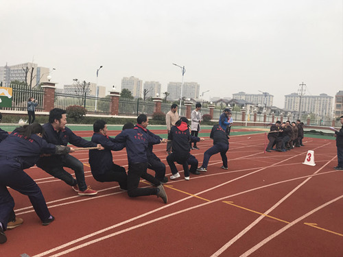 新澳门2025免费原料网
